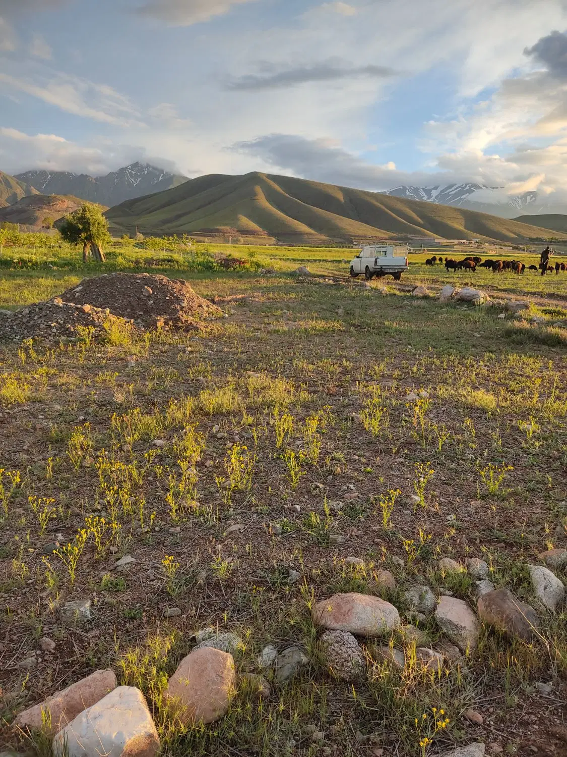 قطعه زمین باغی وکشاورزی