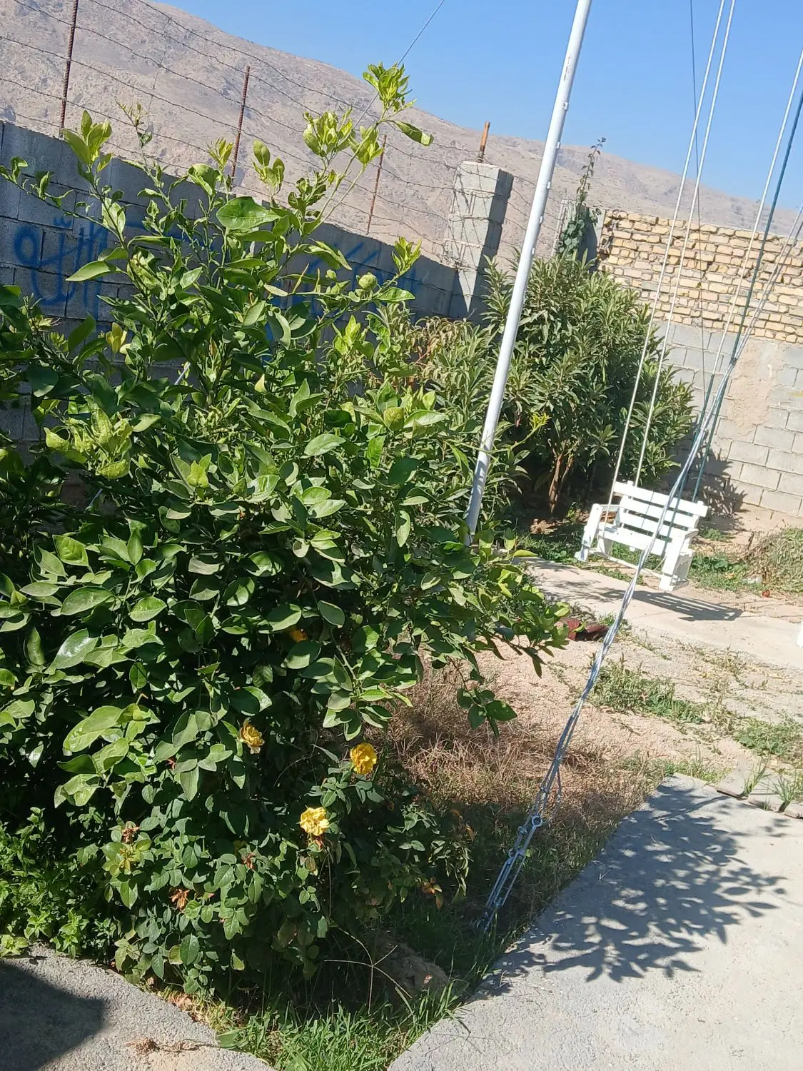خانه باغ،روزانه،حداکثر۳نفر