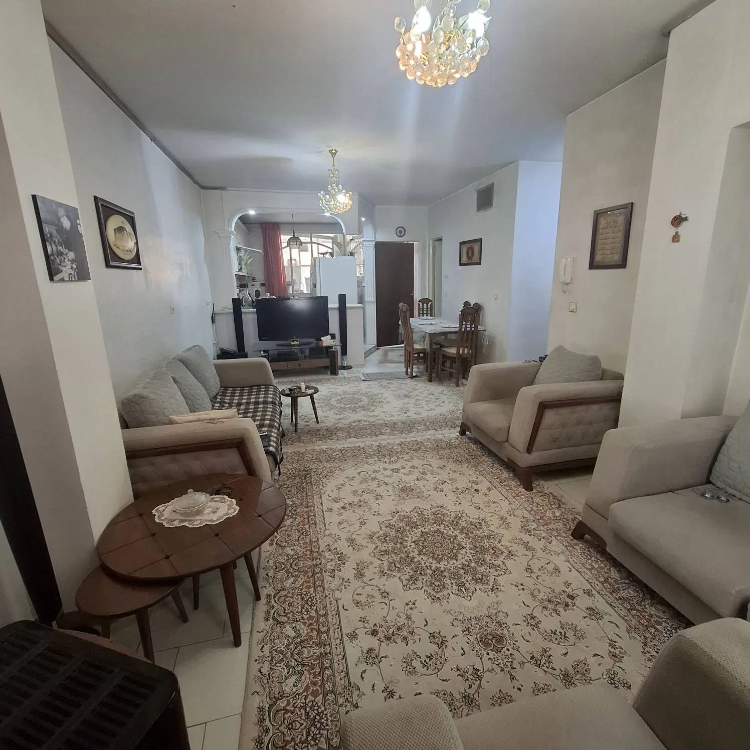 64متر باغستان سند تک برگ