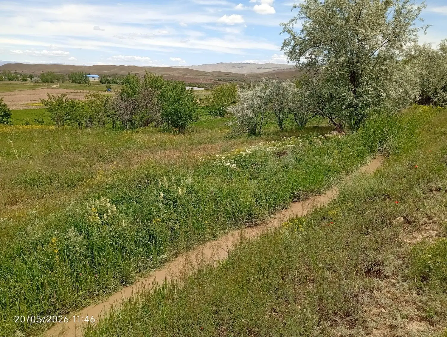 فروش زمین زراعی مرغوب