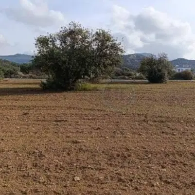 زمین مسکونی کلدوزخ 2