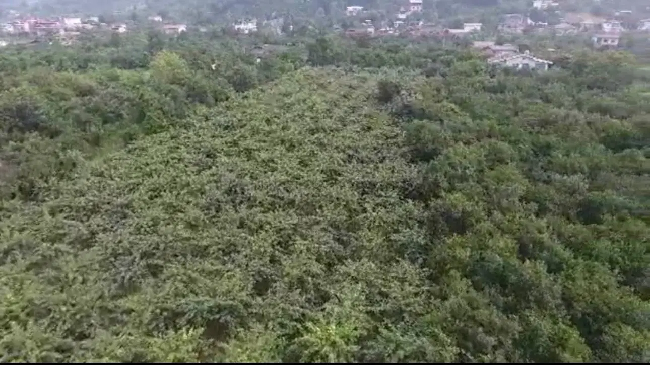 ۱۶۰۰۰ متر زمین