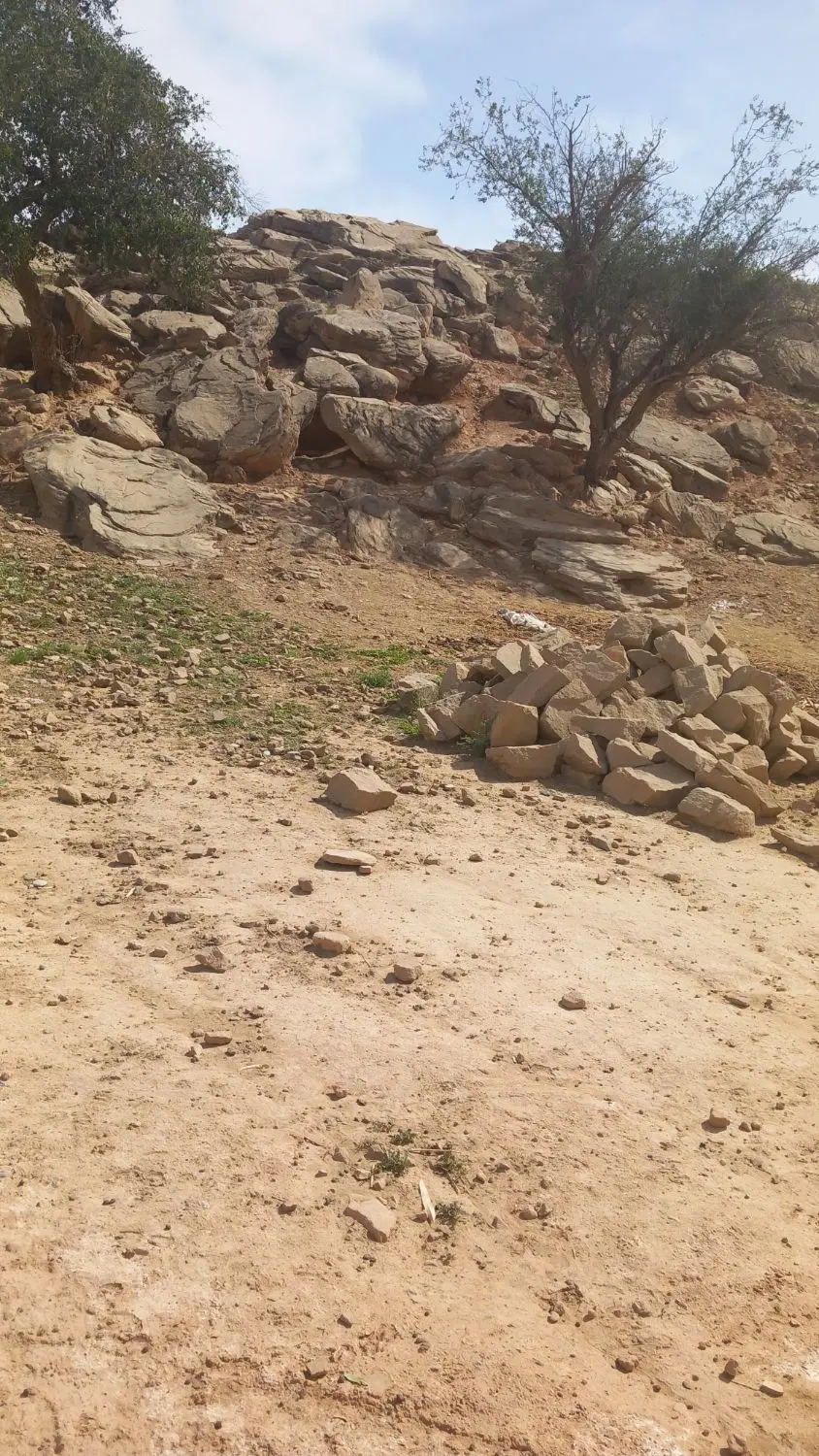 زمین مسکونی در روستای گراب