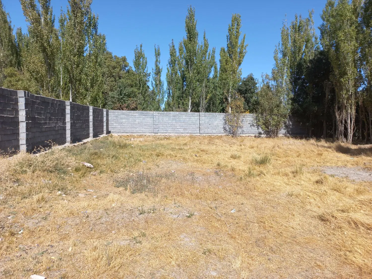 چهاردیواری بامجوز غار علیصدر