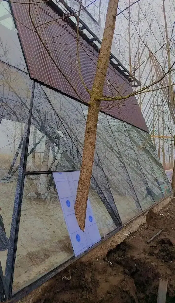 اقامتگاه جزیره ای