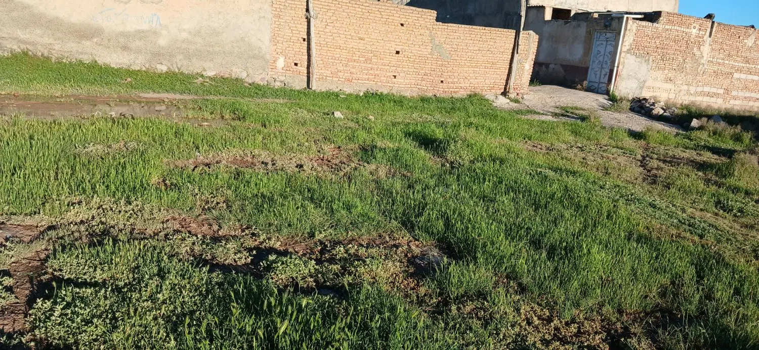 زمین مسکونی 45متری  کد پستی در خواجه دیزج مایان