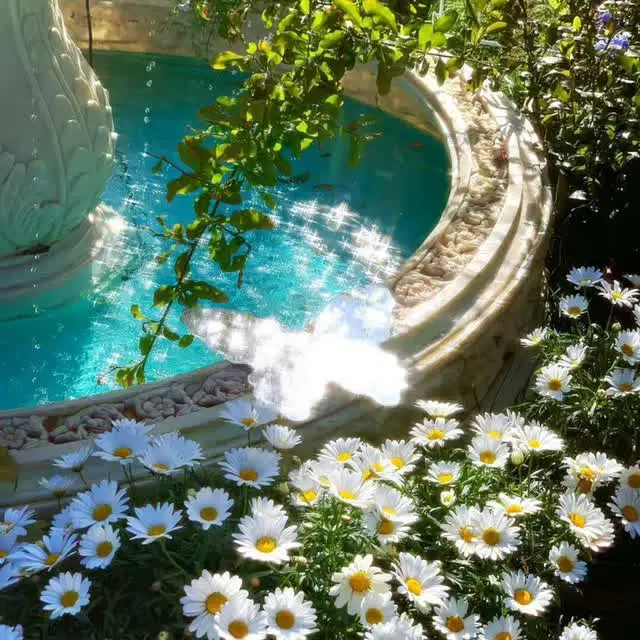 باغ ویلا