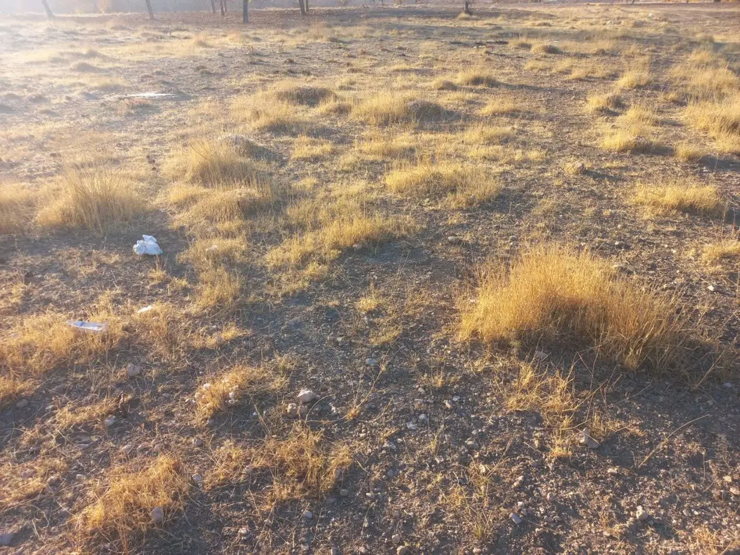 ۵۰۹ متر زمین مسکونی فروشی روستای باباپیر