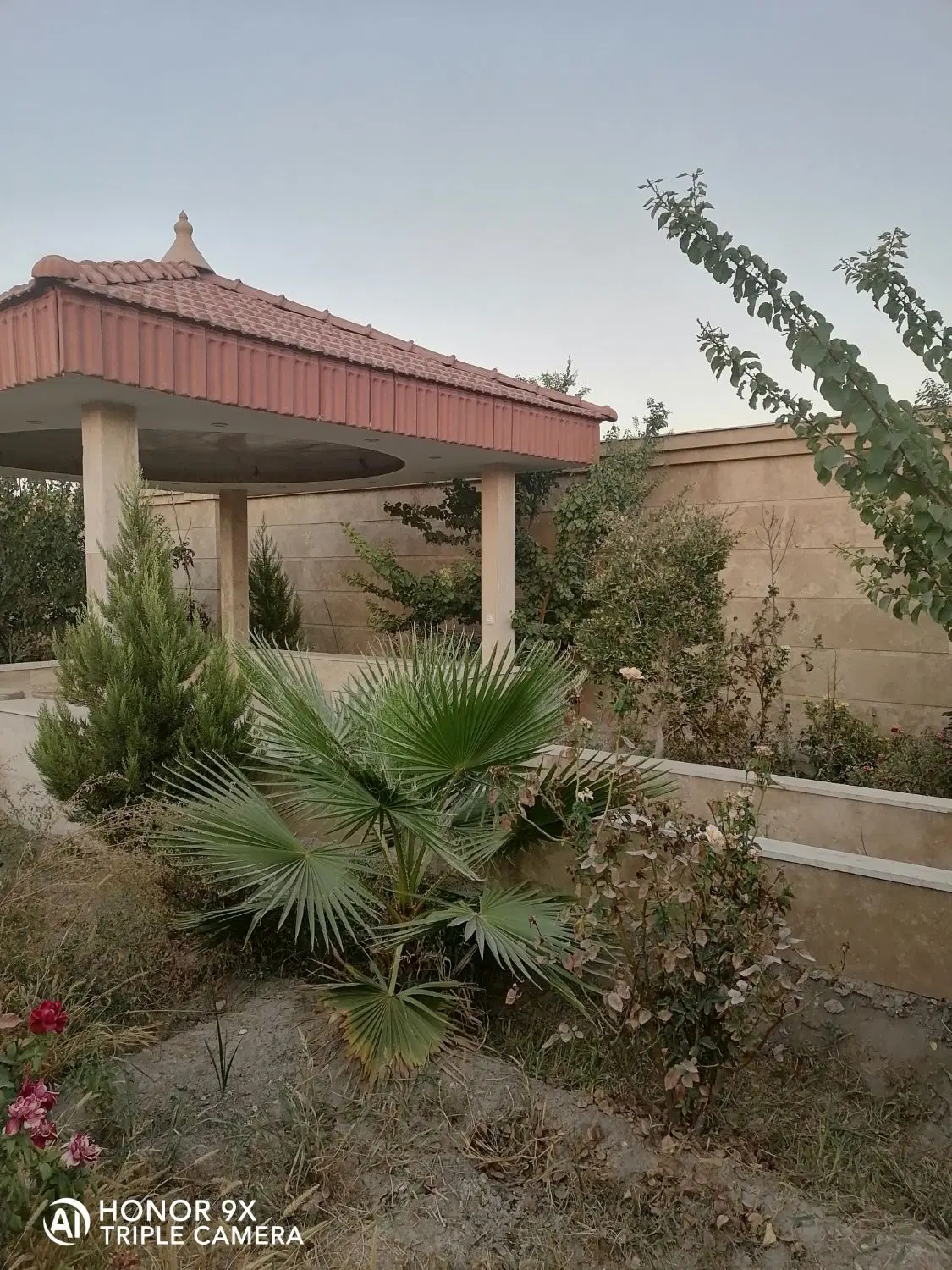باغ ویلا