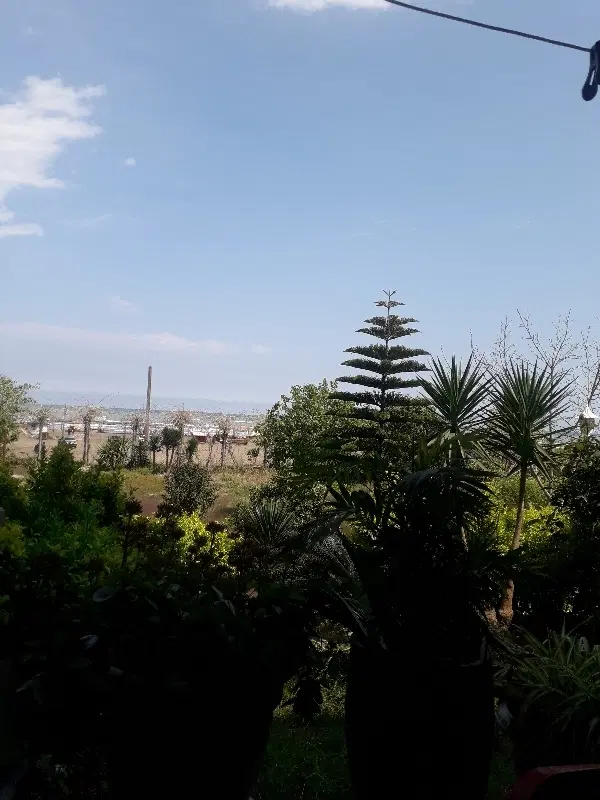 آپارتمان
