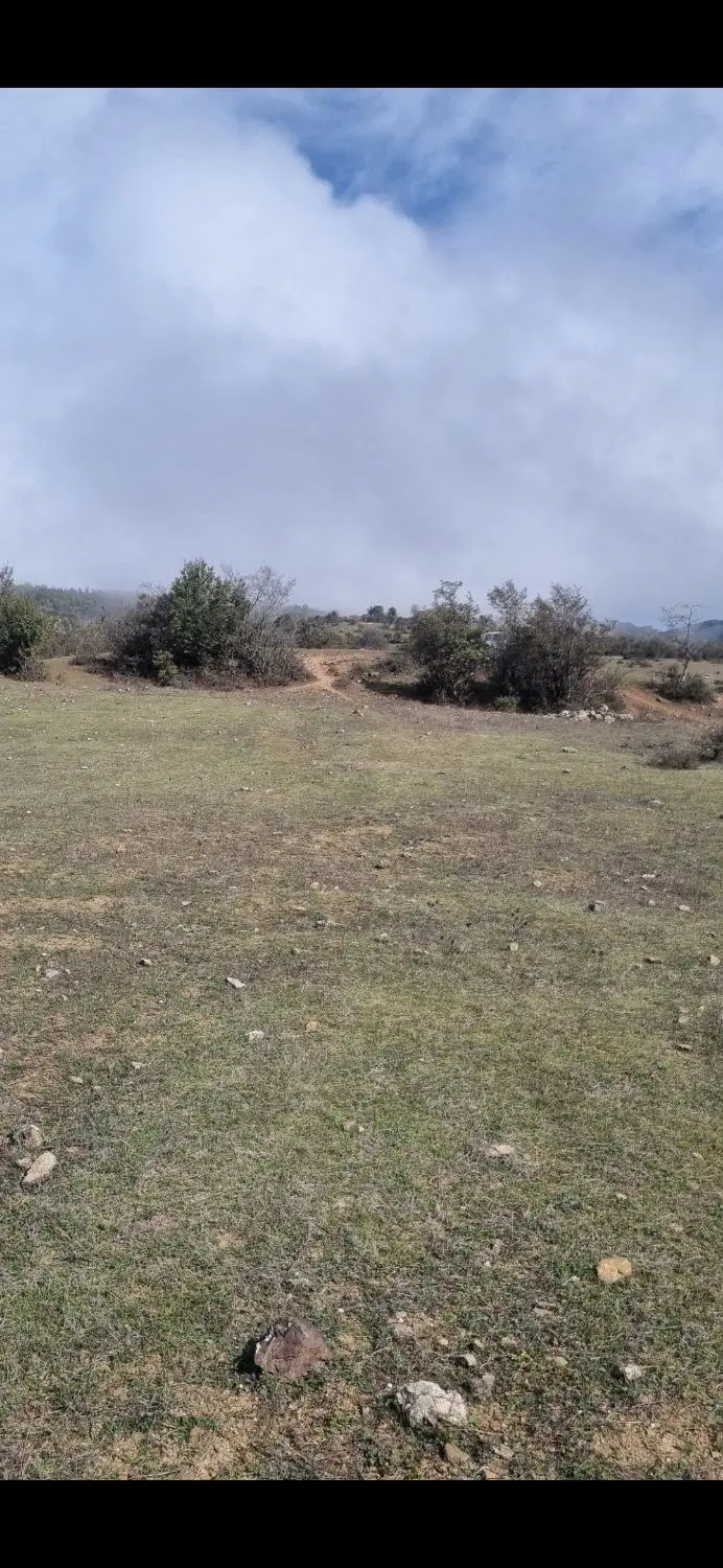 ۲۲۰۰۰متر زمین سند دار  کاربری باغی وزراعی طالکوه