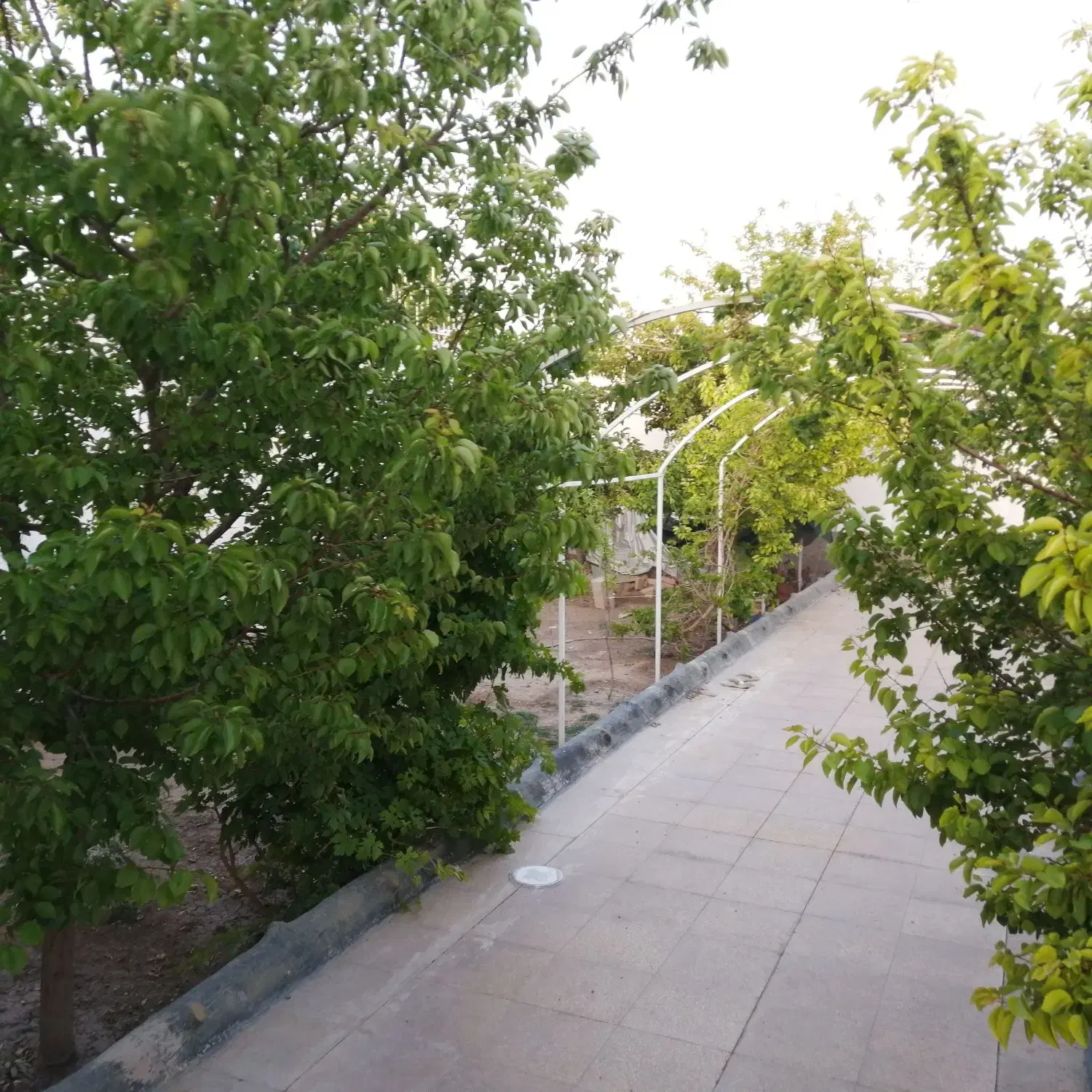 باغ مولنجان