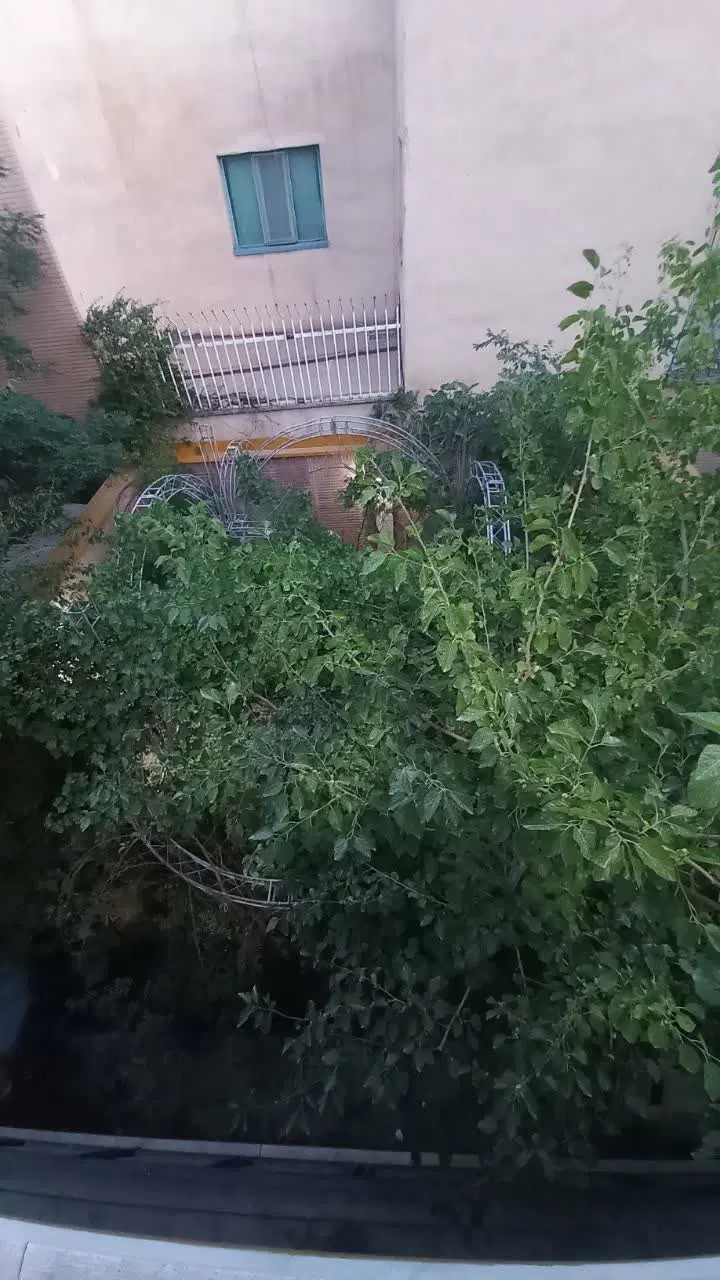 اجاره مشاعی همکف جنوبی__ میدان استقلال