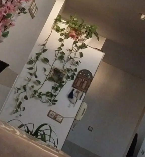 طبقه ۲ ،مرکز شهر