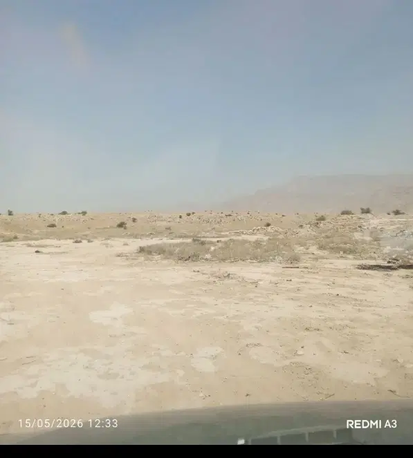 زمین 69هکتاری برازجان