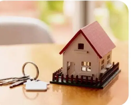 زمین کلنگی