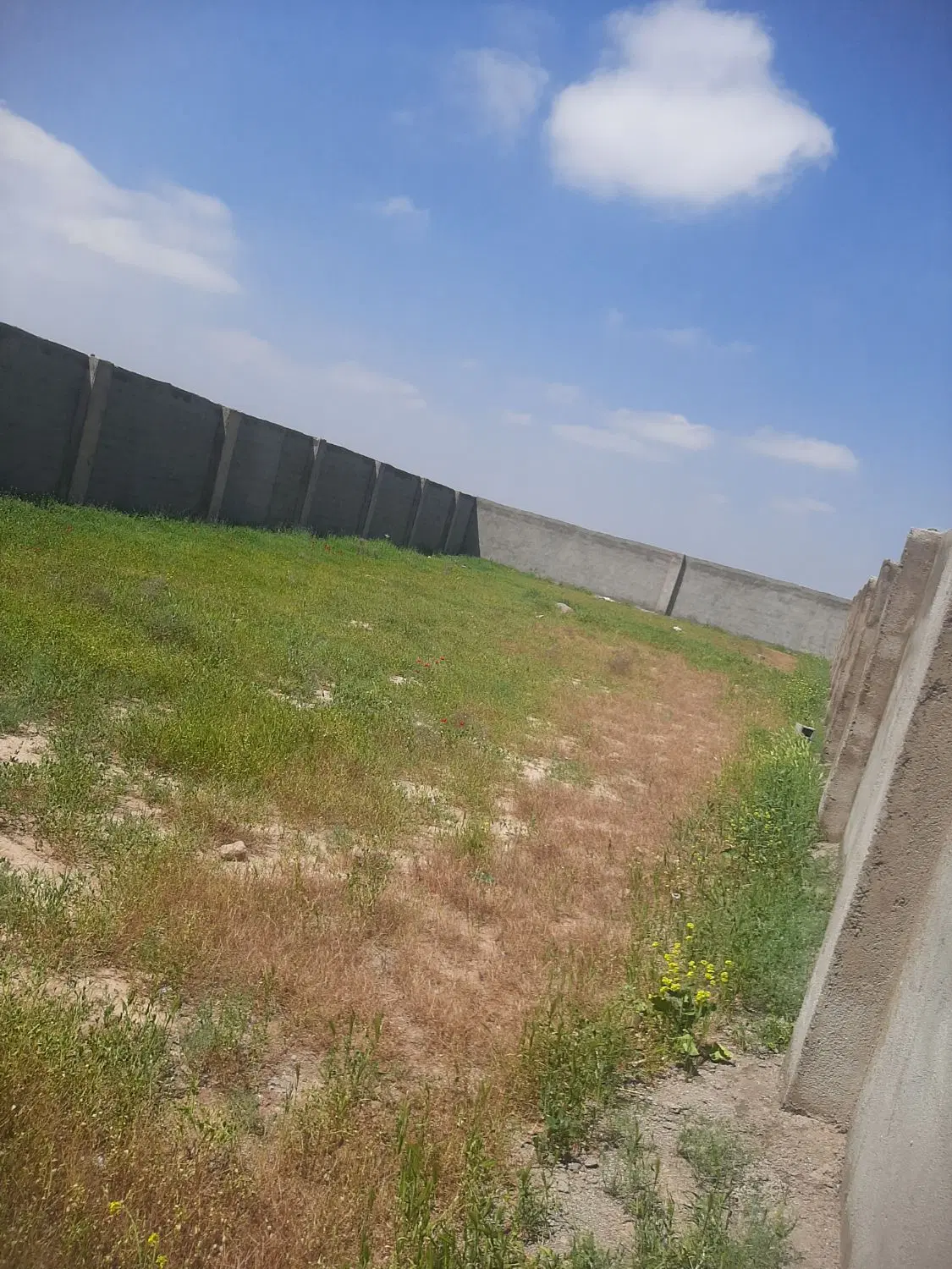 گنبدواز  ده متری عباد چهاردیواری باغ