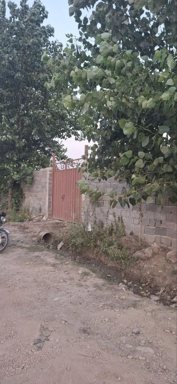 زمین