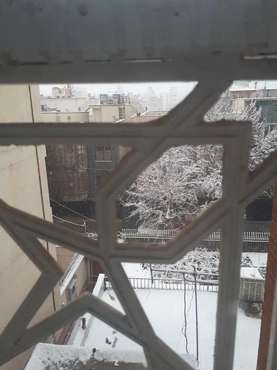 پارکینگ برای زوار