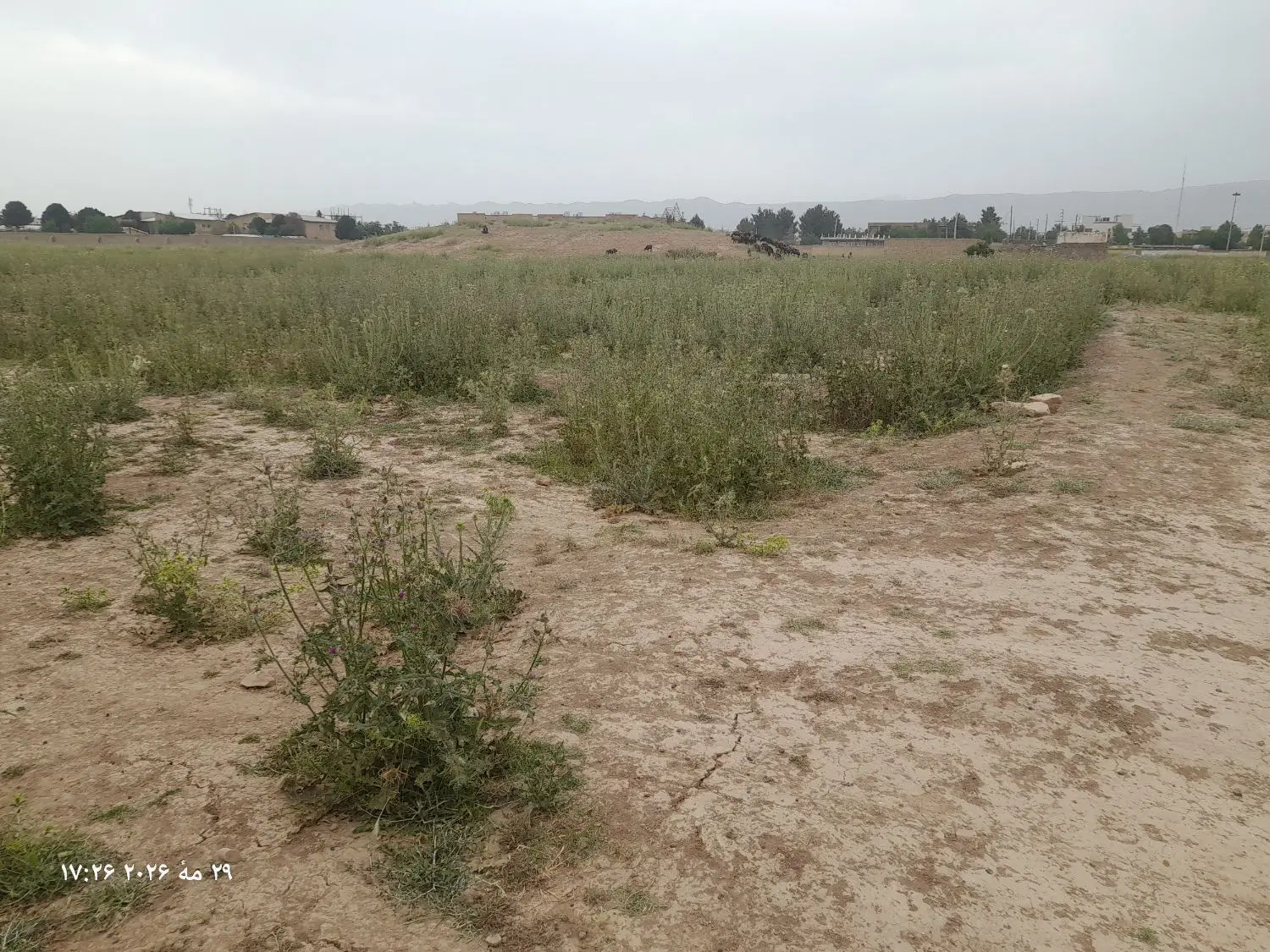 زمین مسکونی ۲۰۰متر