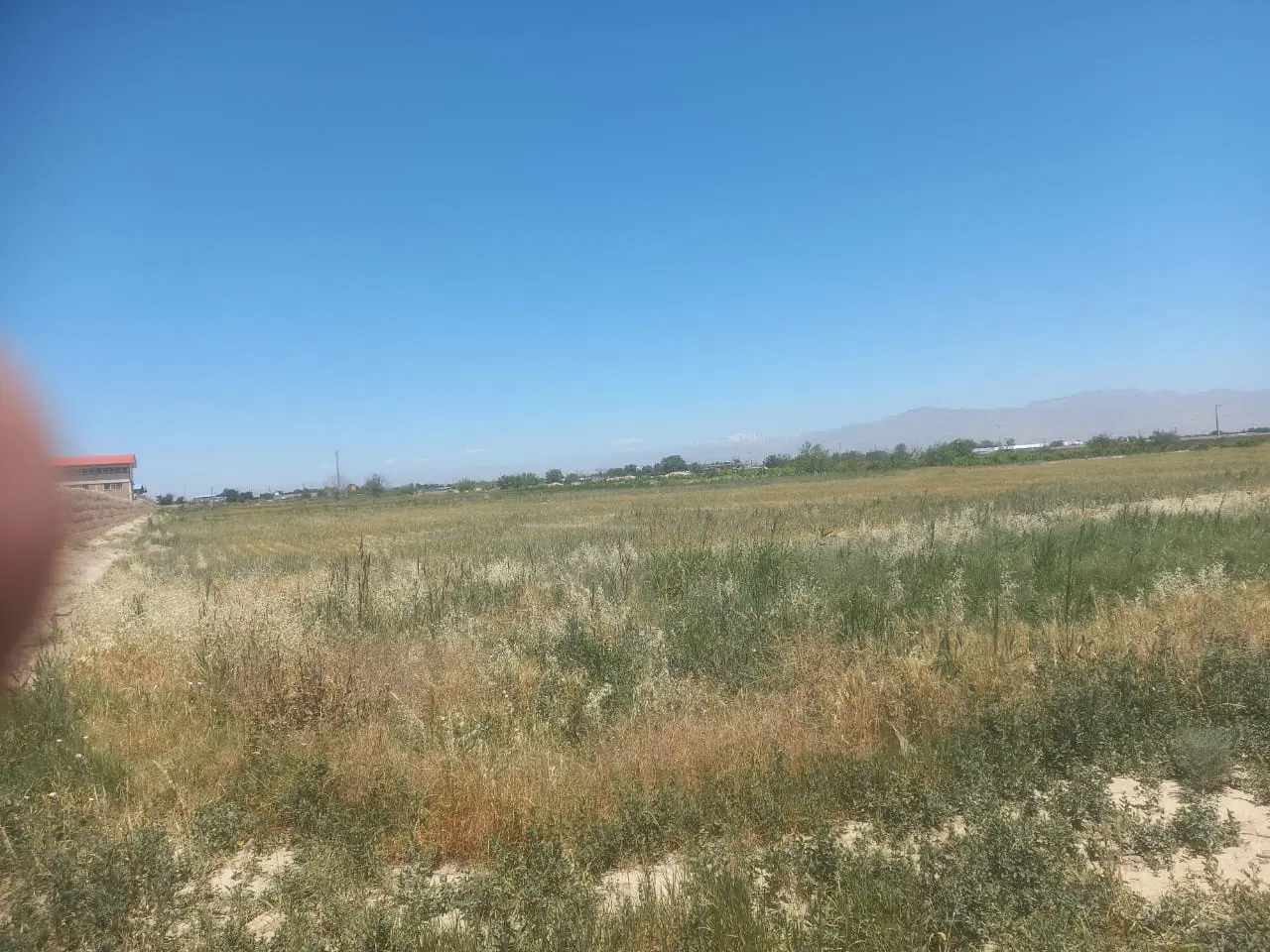 زمین هکتاری منطقه یک تهران