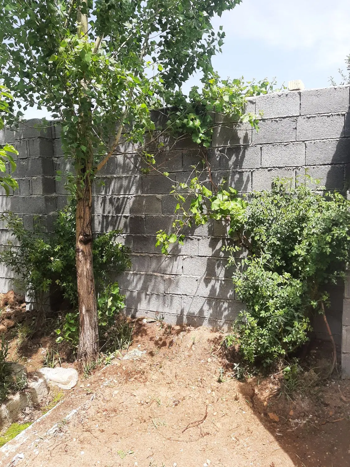 فروش  ویلا باغ در حسن آباد سربست سپیدان