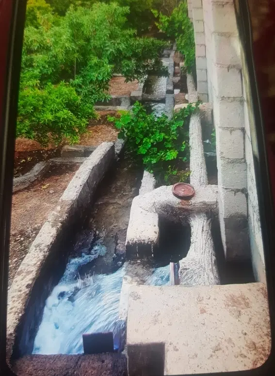 زمین کشاورزی