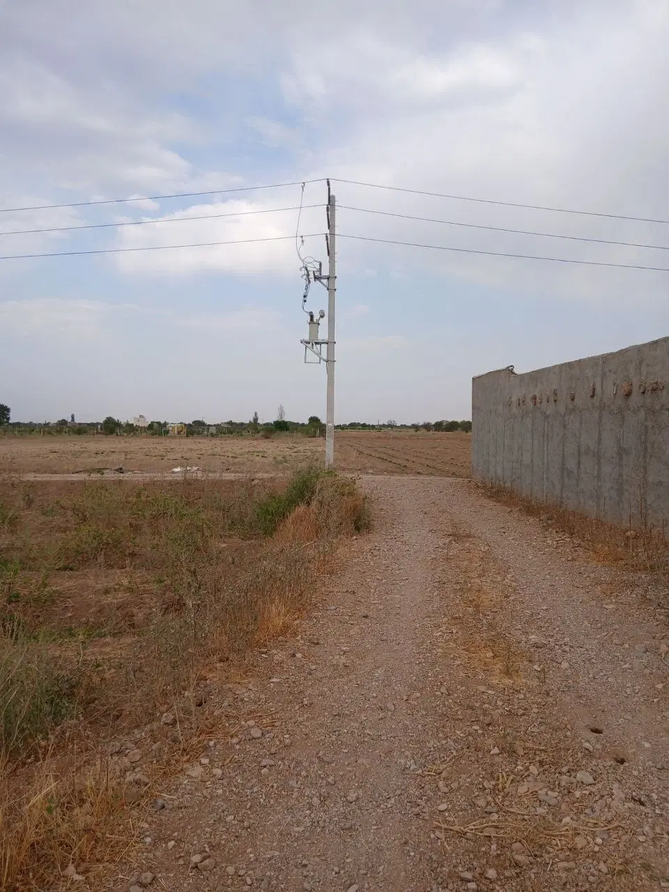 باغچه