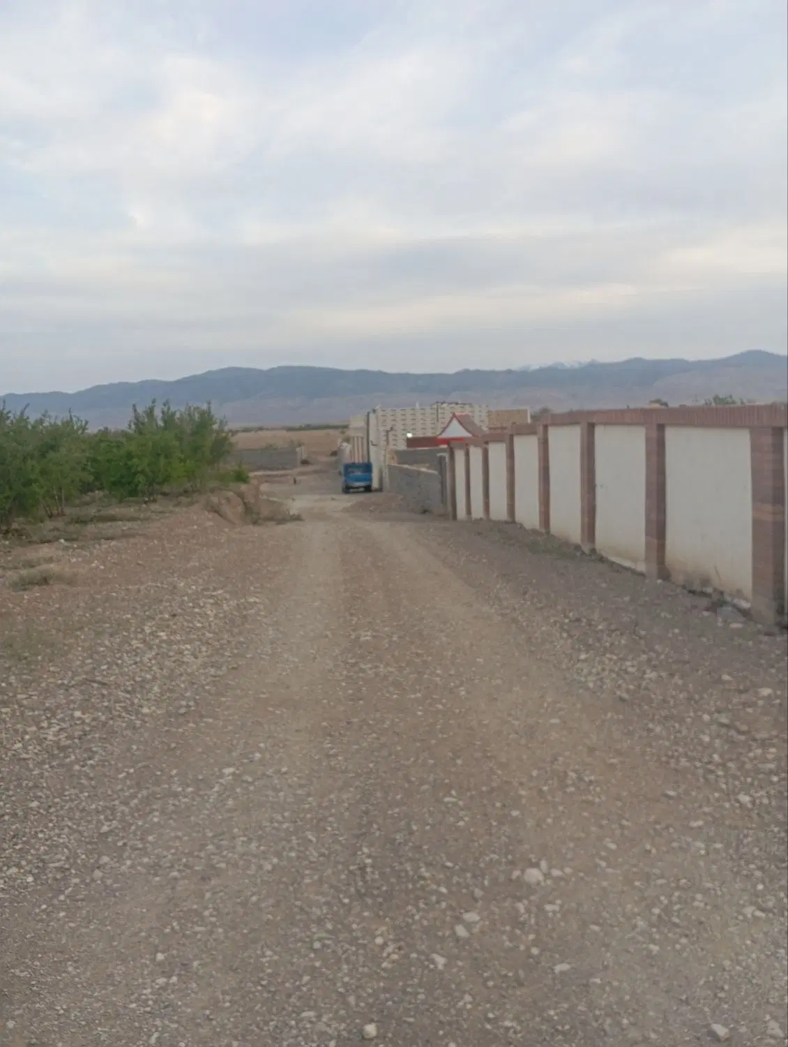 زمین باغی