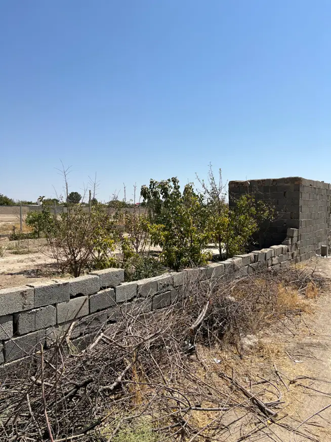باغ باغچه سرسبز سهیلیه زعفرانیه
