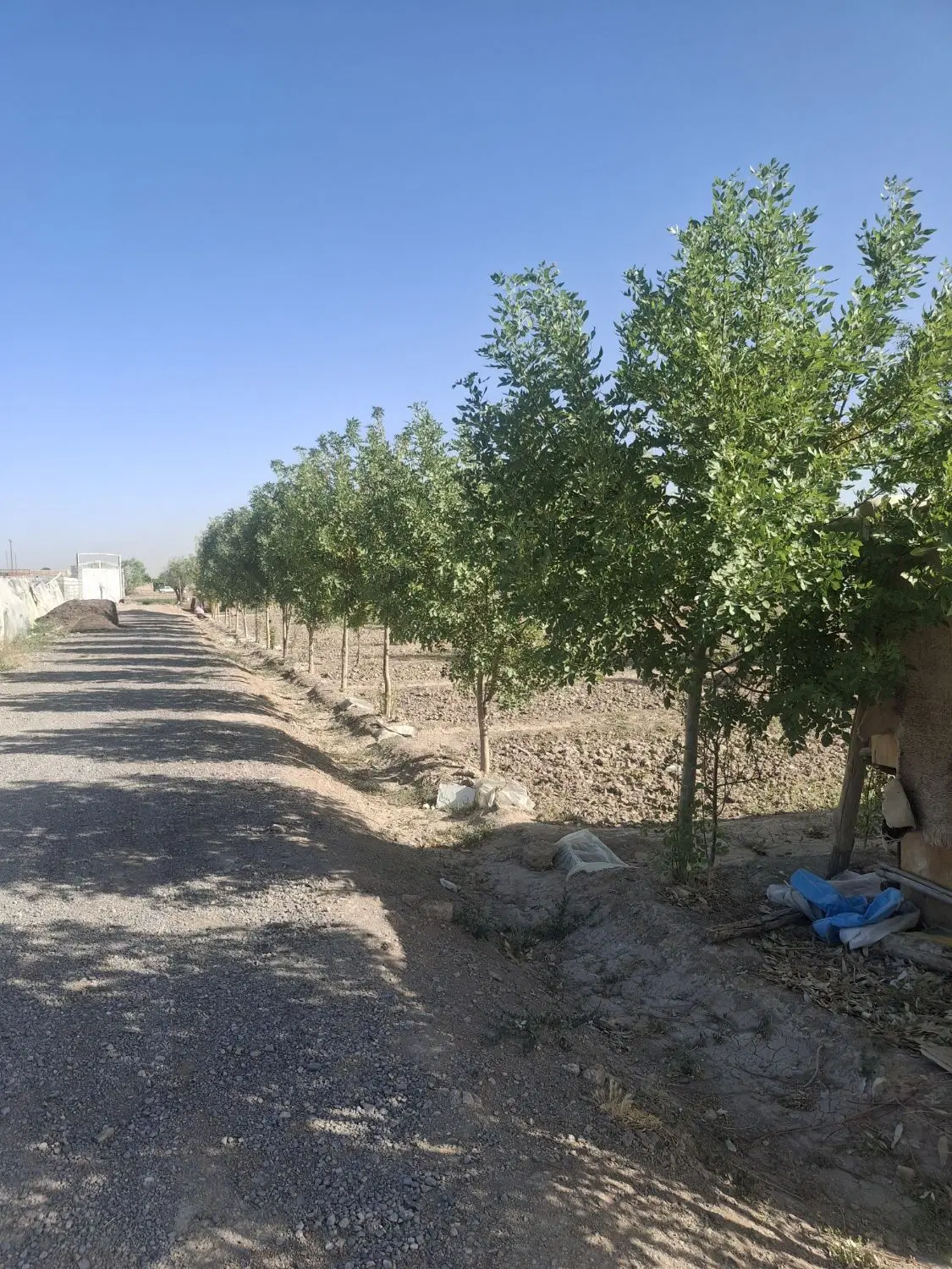 فروش زمین باغی