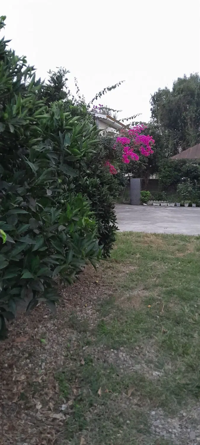 فروش خانه ویلایی درتالش.پره سر