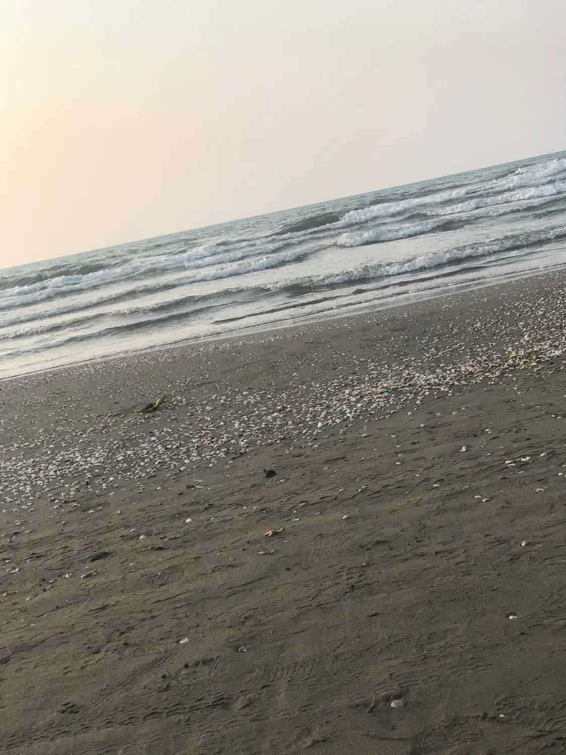 زمین شهرکی