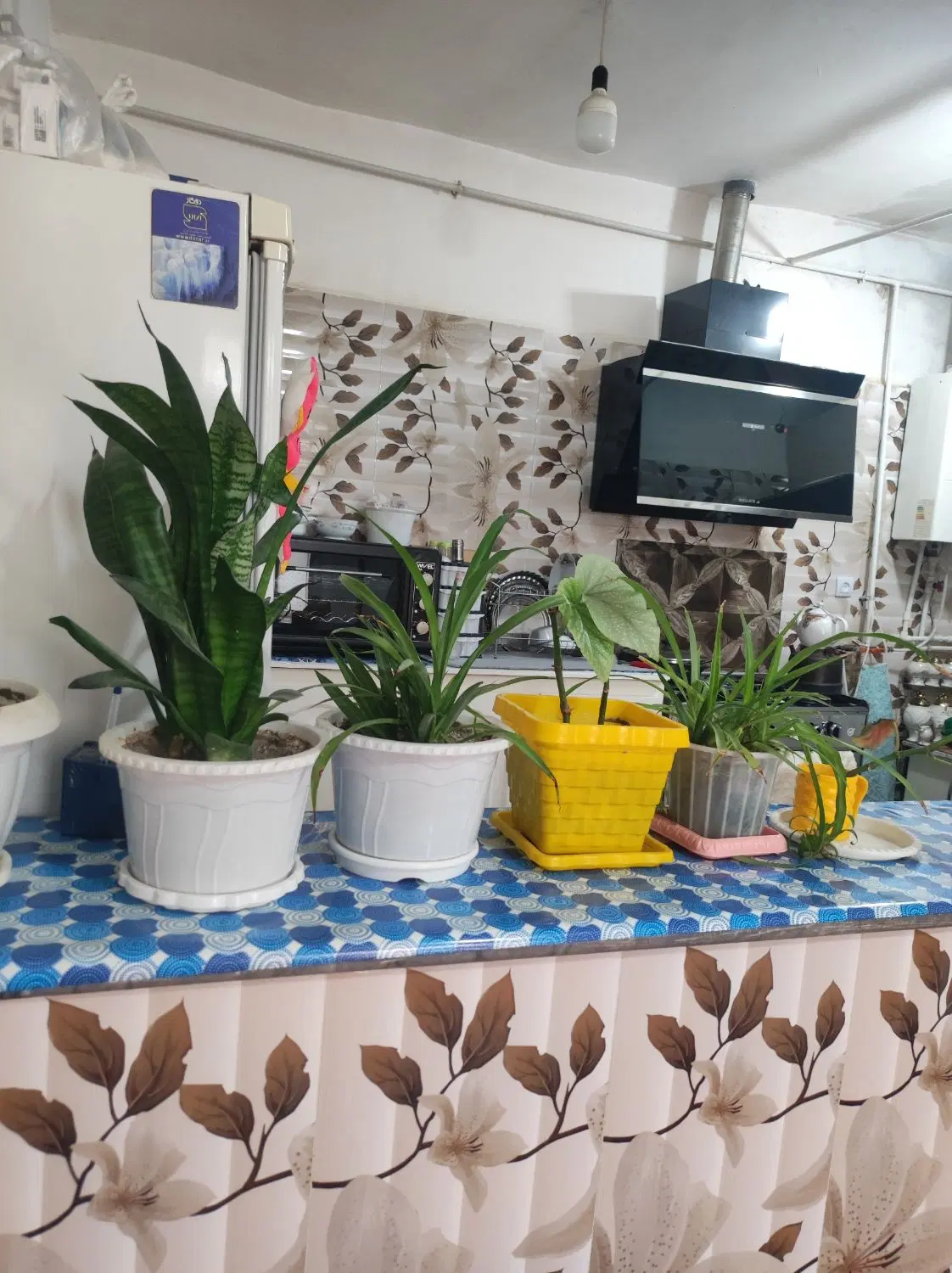 خانه در اخماقیه