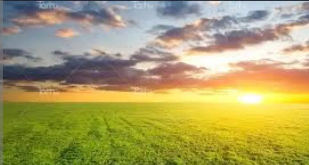 فروش زمین کشاورزی