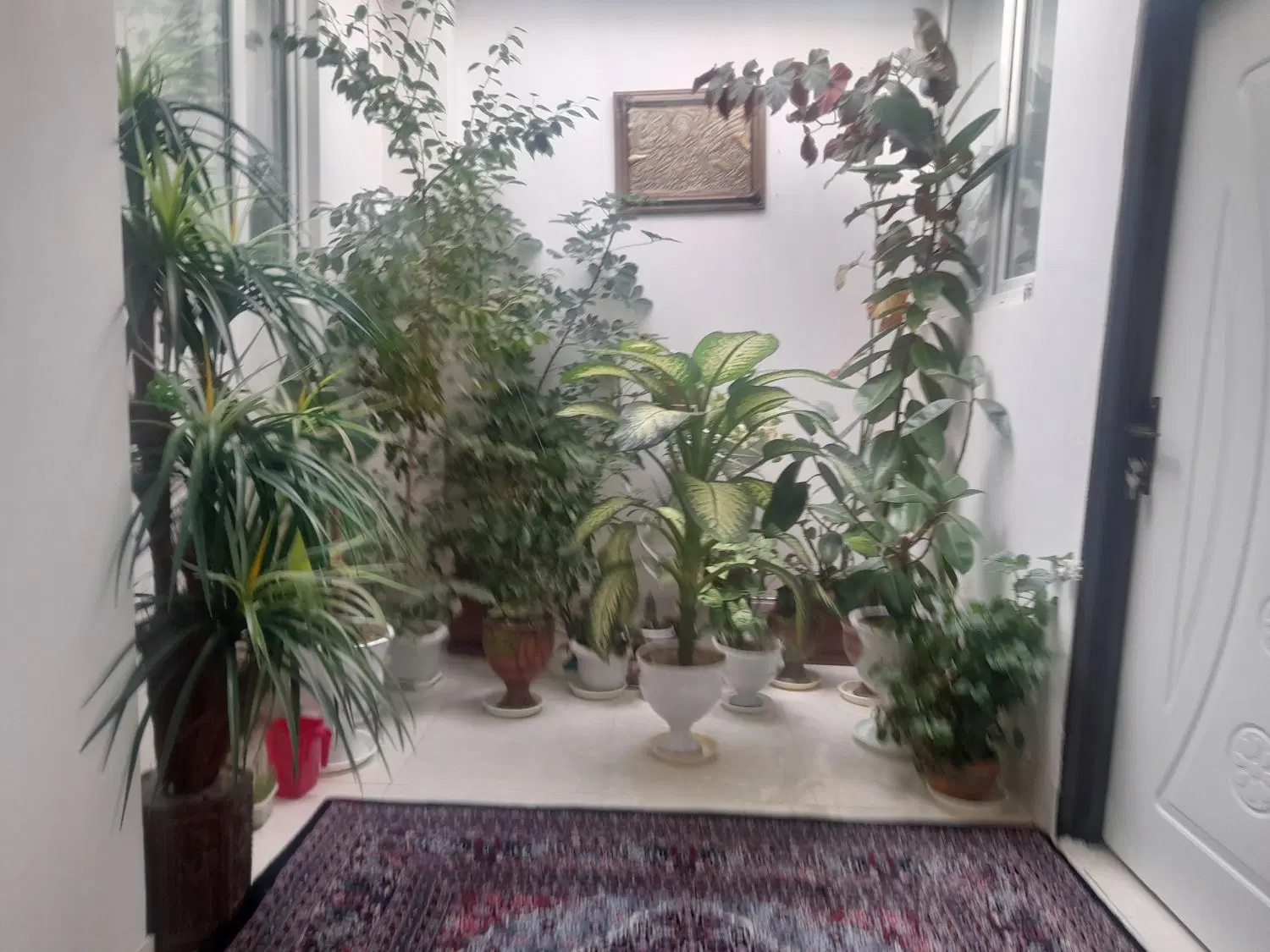 فروش یک ساختمان دوطبقه ویلایی درکشاورز