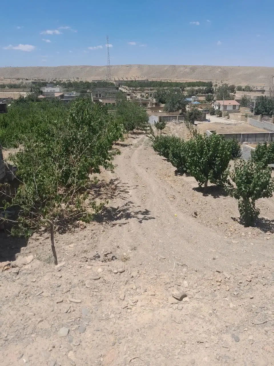 یک قطعه زمین دور دیوار به متراژ2400درب باغی بزرگ