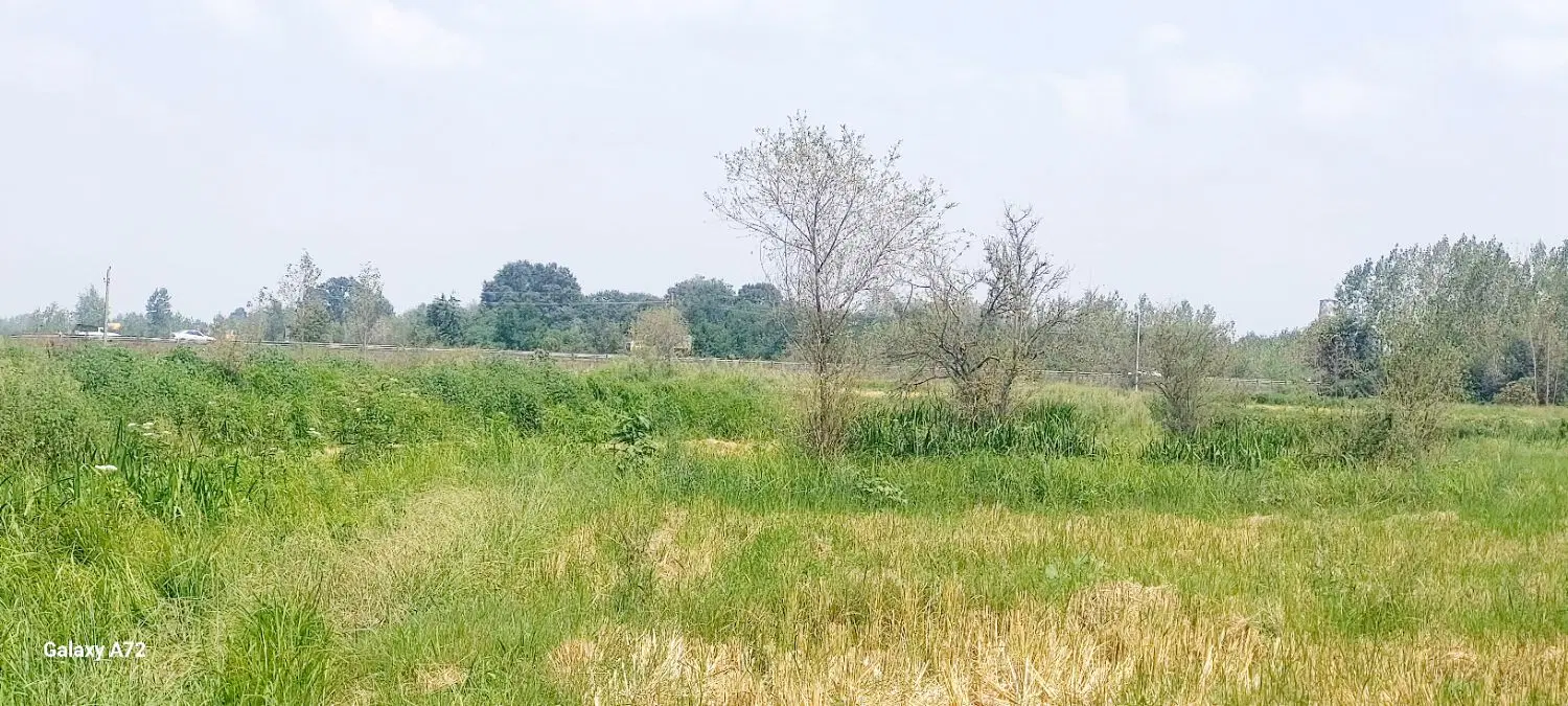 شالیزار مکانیزه