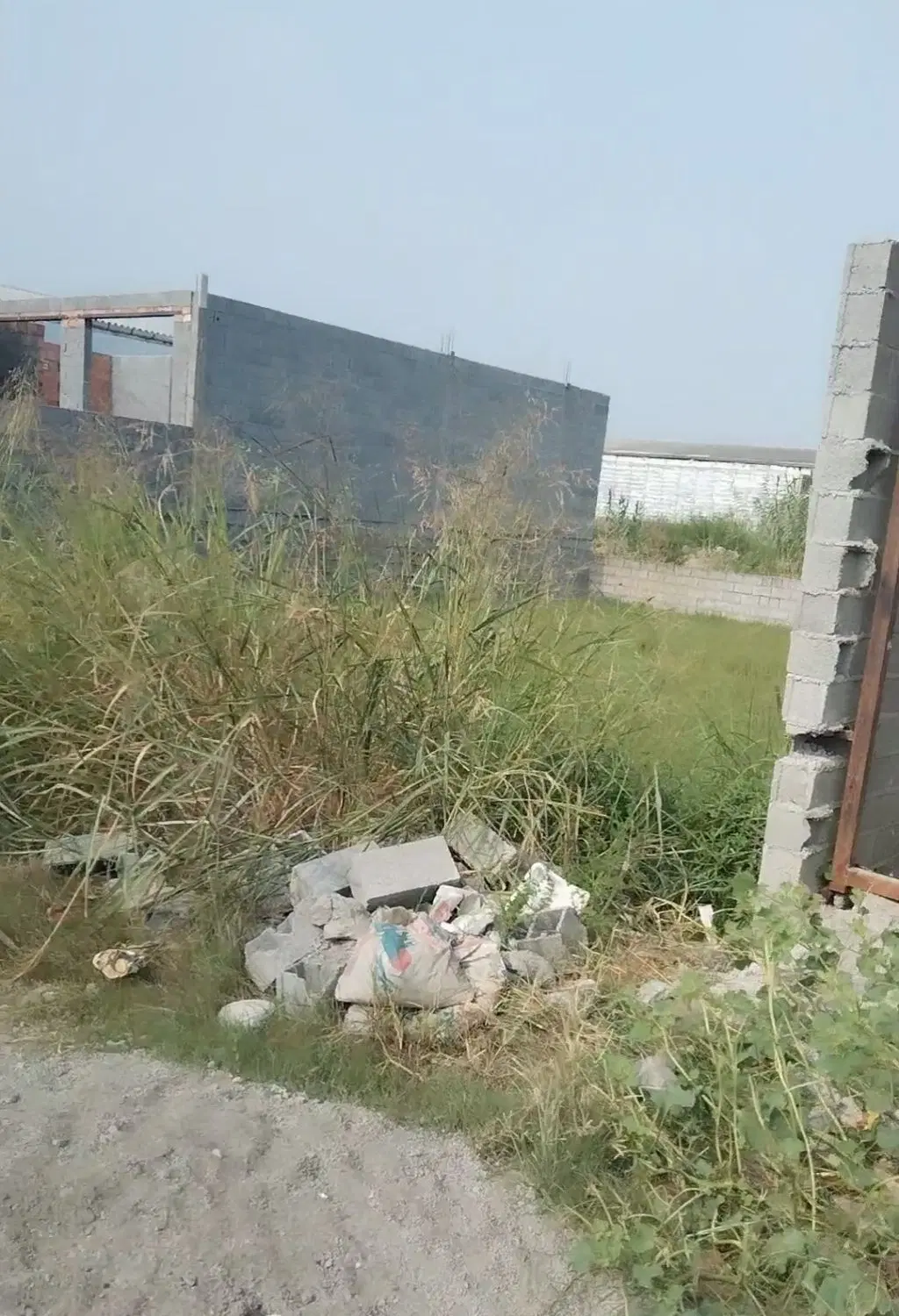 زمین مسکونی 200 متری در بهنمیر