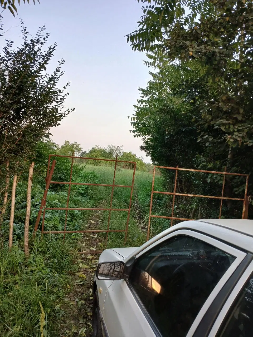 زمین باغی