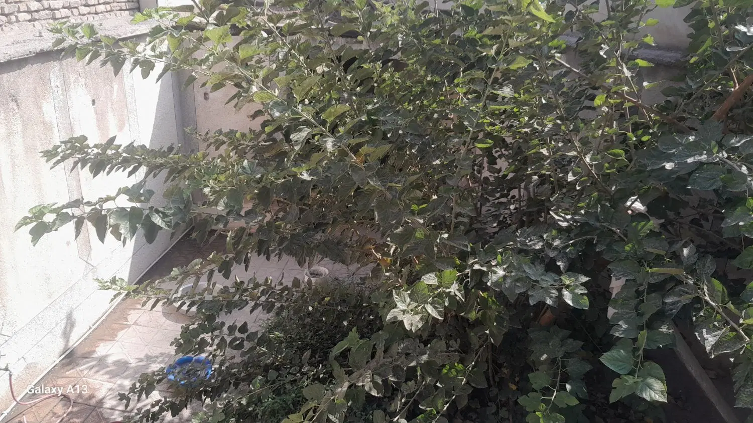 فروش ملک