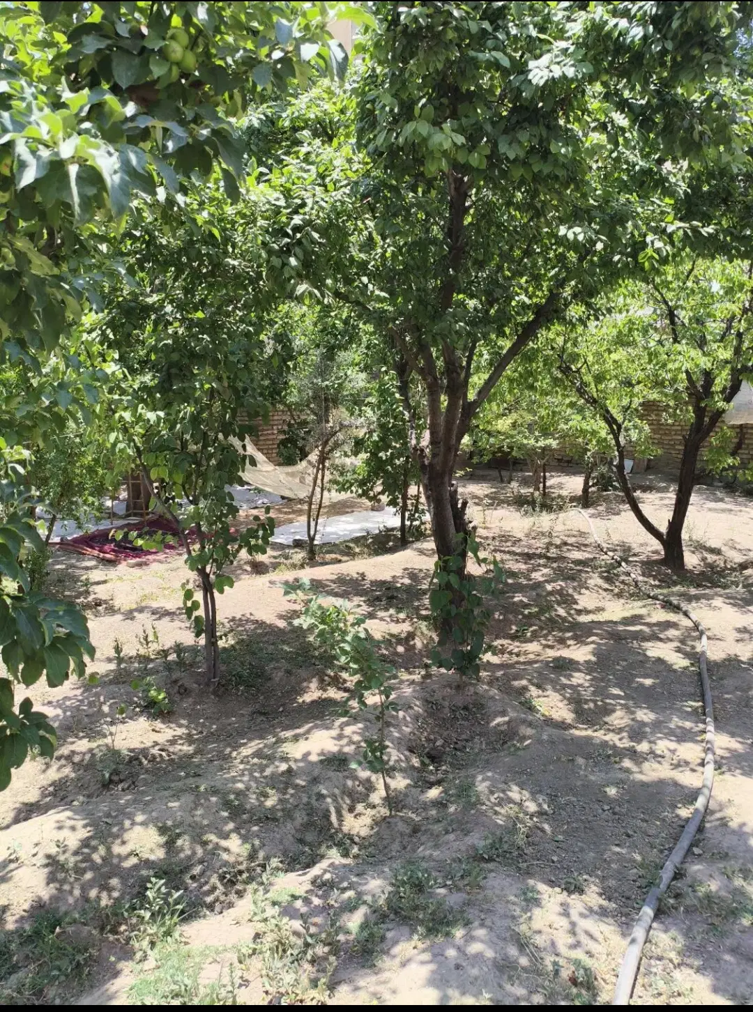 خانه در تربر جعفری