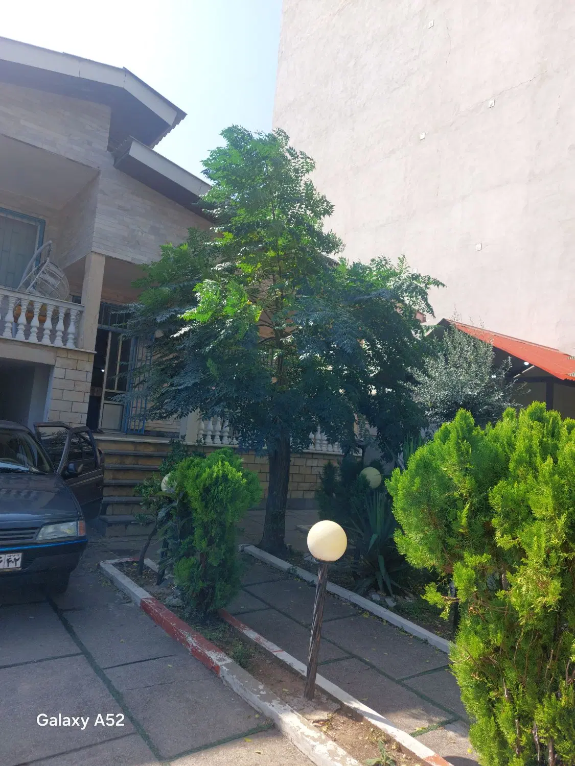 اجاره زمین کشاورزی جهت زعفران