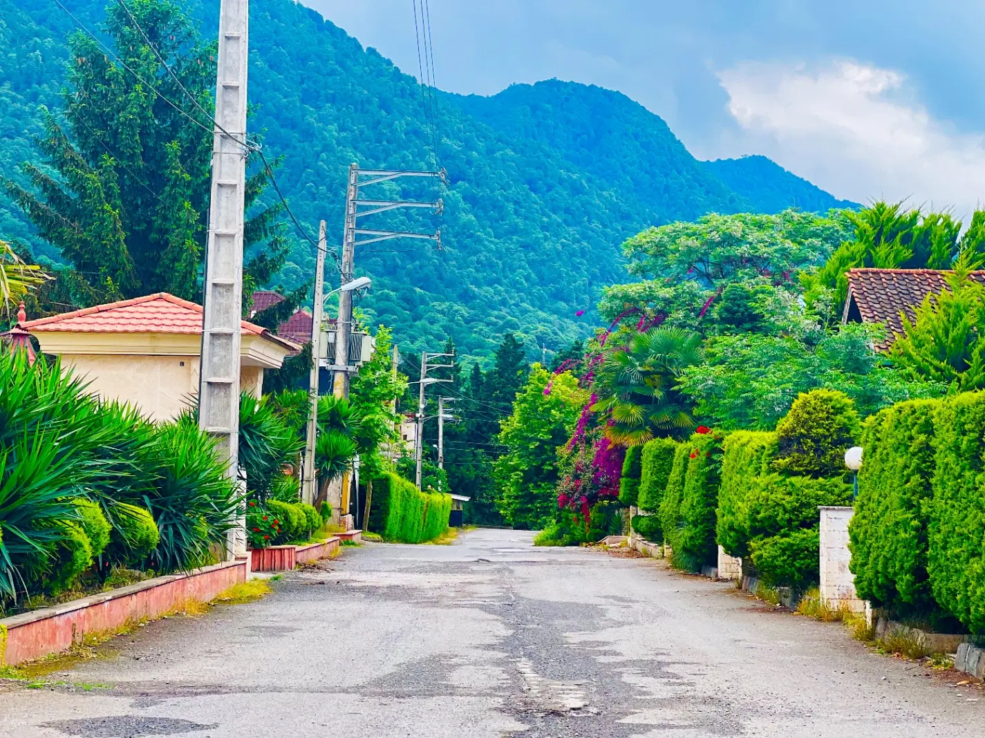 ۵۰۰ متر زمین سند شش دانگ بافت در سیسنگان نخ شمال