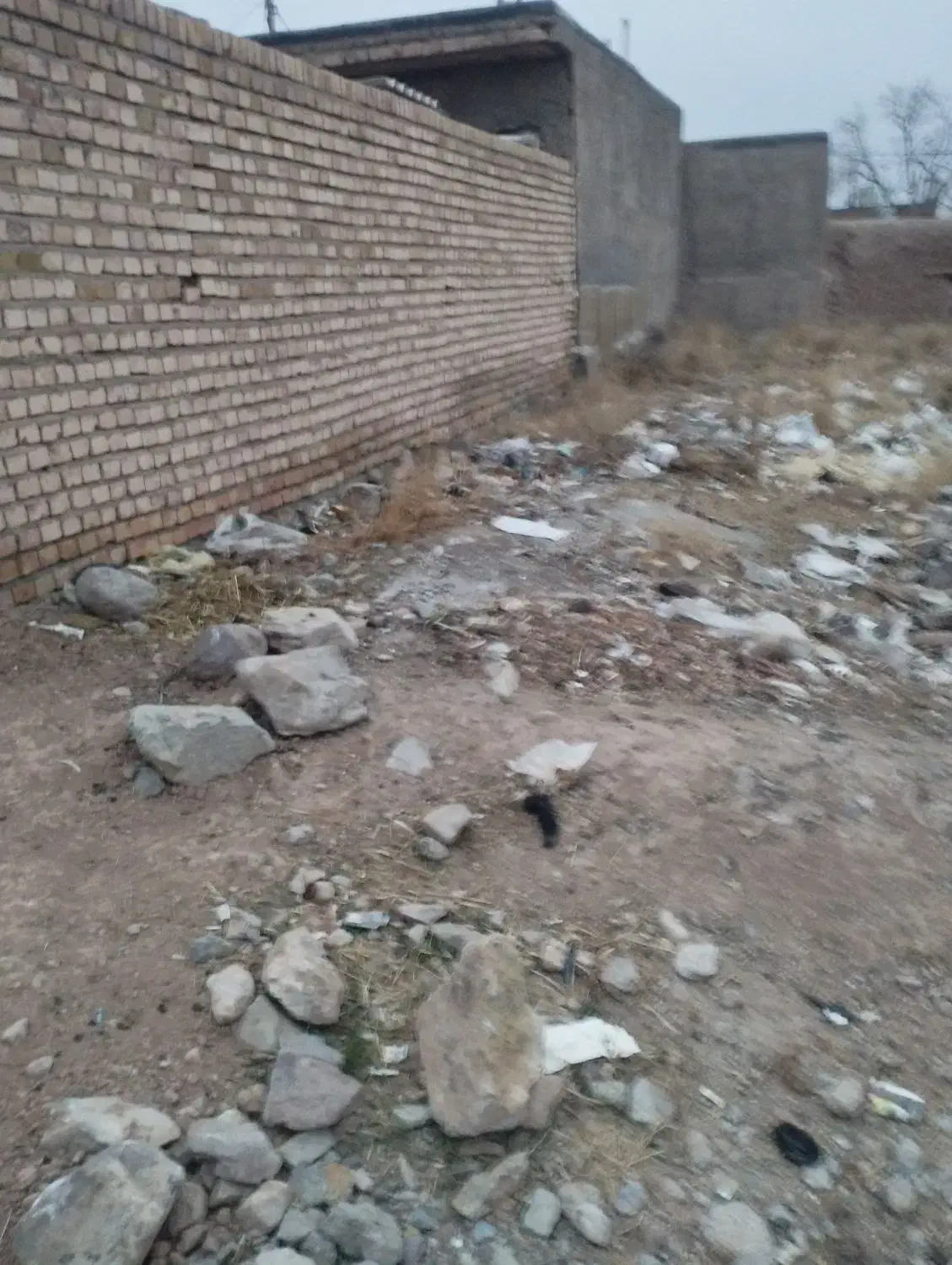 زمین روستای دشت