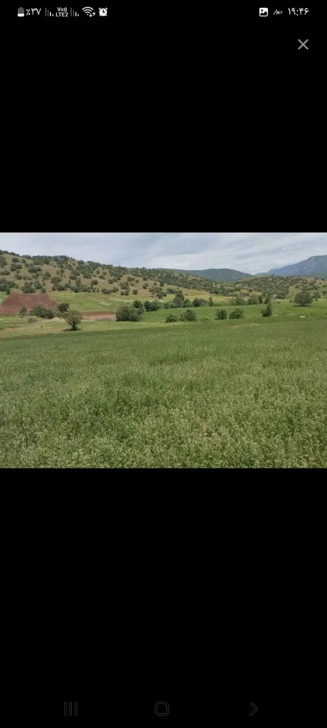 باغ دیم