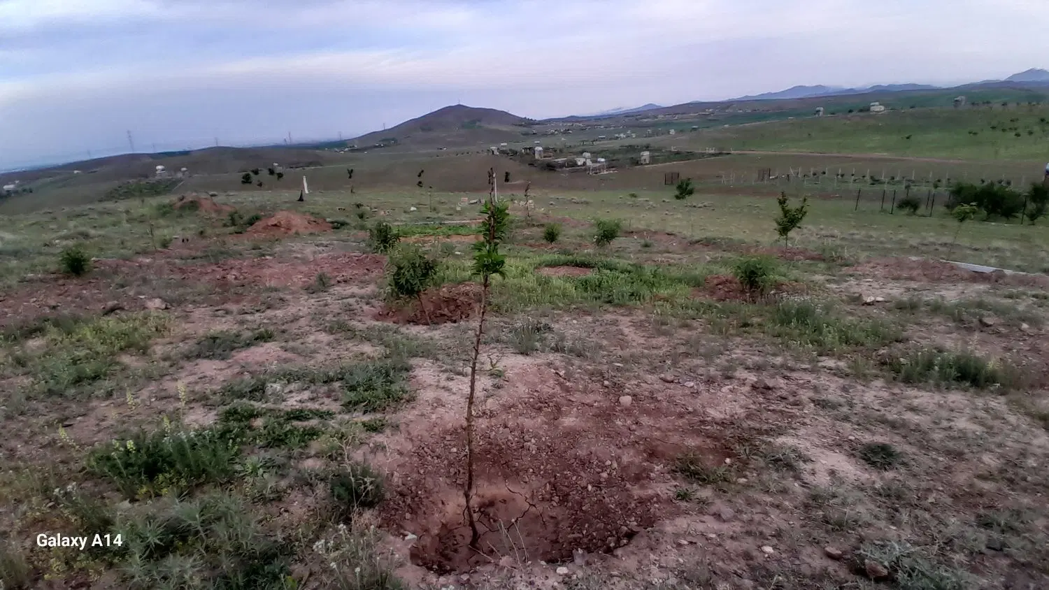 زمین.کشاورزی
