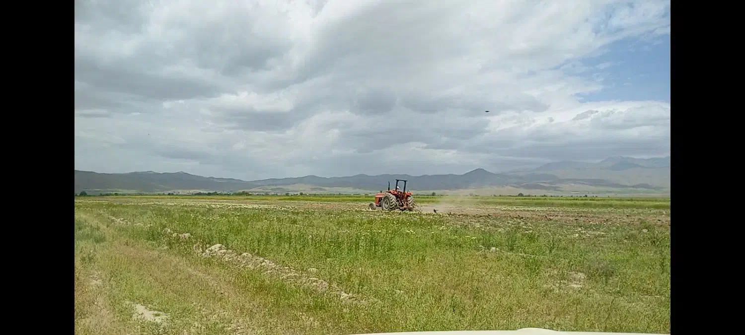 زمین کشاورزی همراه اب و سند رسمی ثبت شده