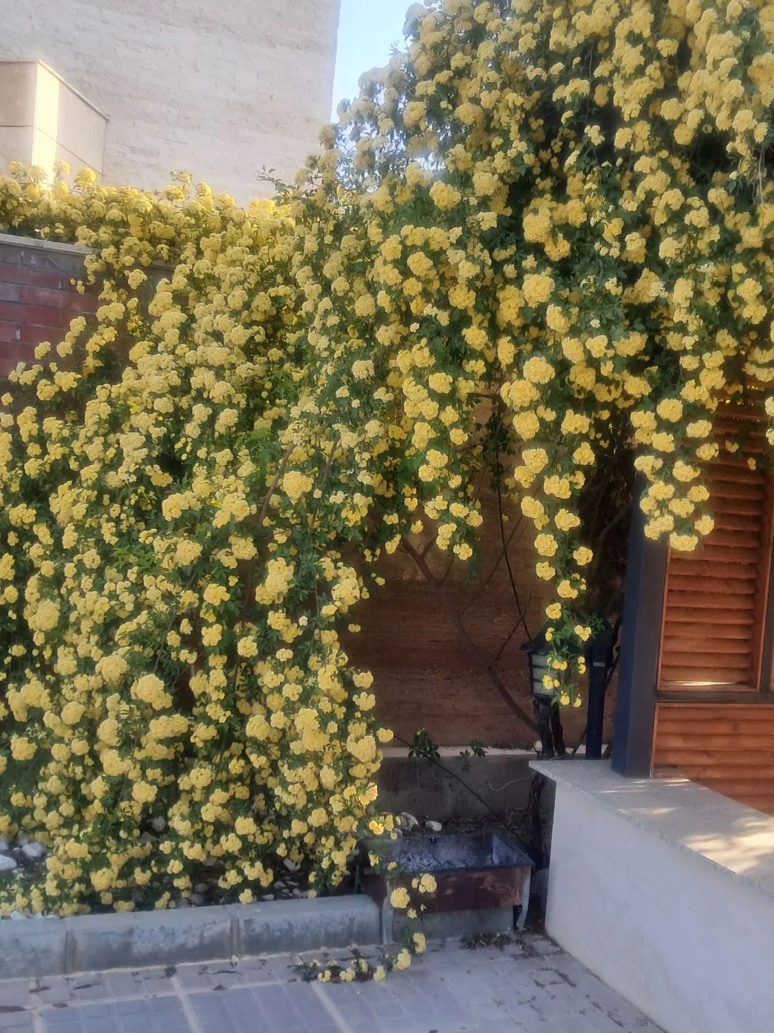 فروش باغ ایستاده در کوزه گران نقده