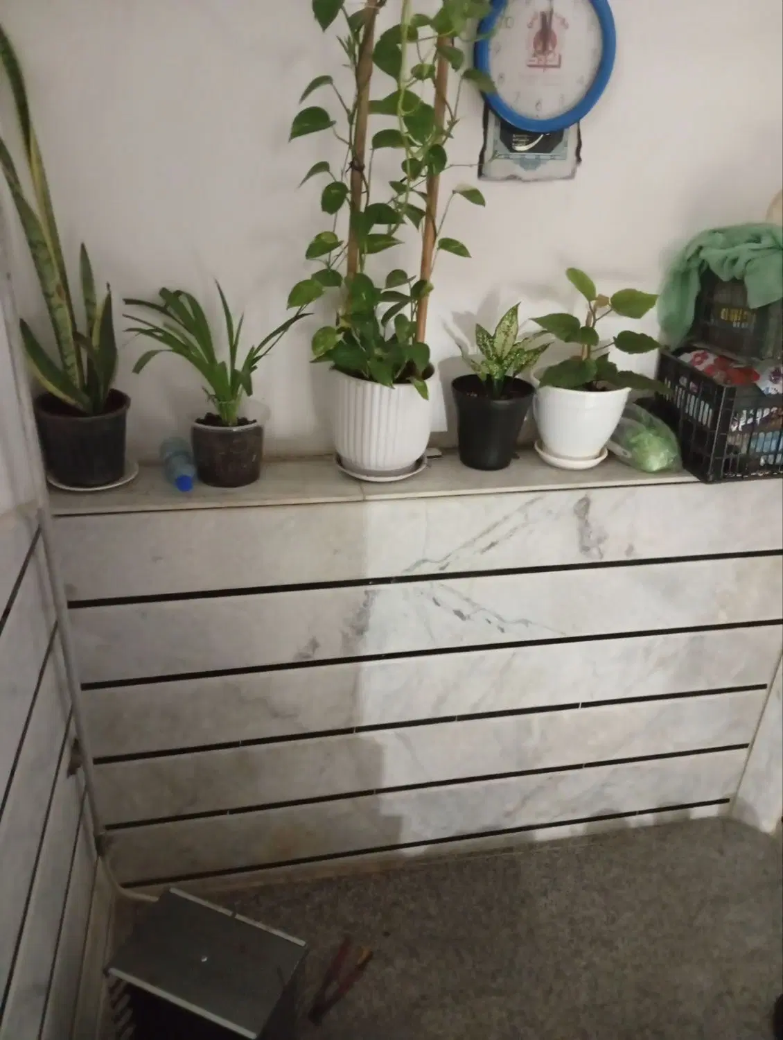 اجاره خانه در پورگنجی16 حلما 6